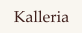 Kalleria